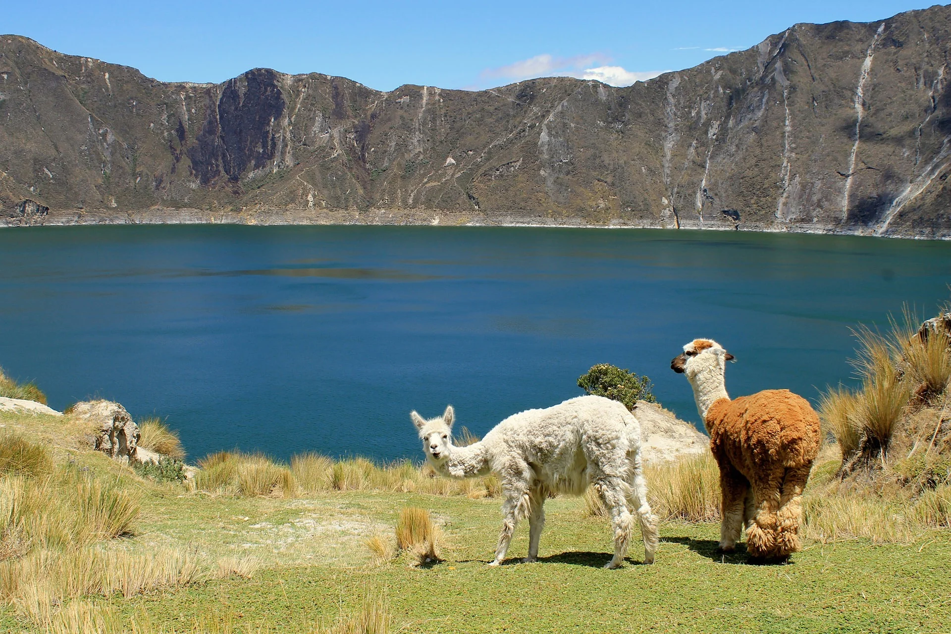 South America